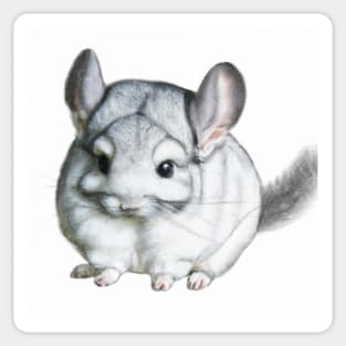 cute chinchilla 9 Sticker